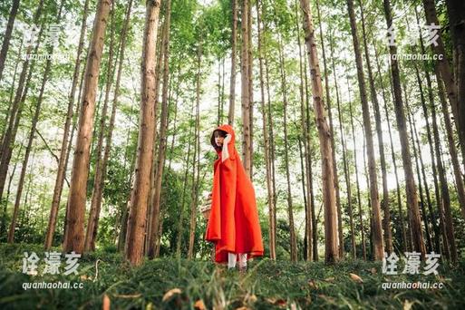 奈汐酱Nice 奈汐酱Nice的美足合集:网盘里的小确幸,快来解锁吧!