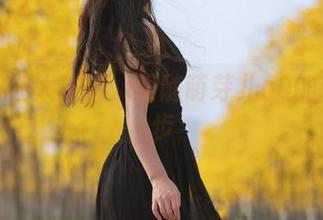免费图册大放送：跟随萌芽儿o0的假期脚步